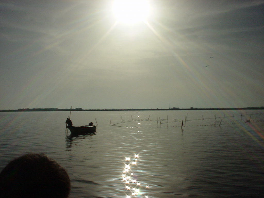 capetchade Etang de Thau